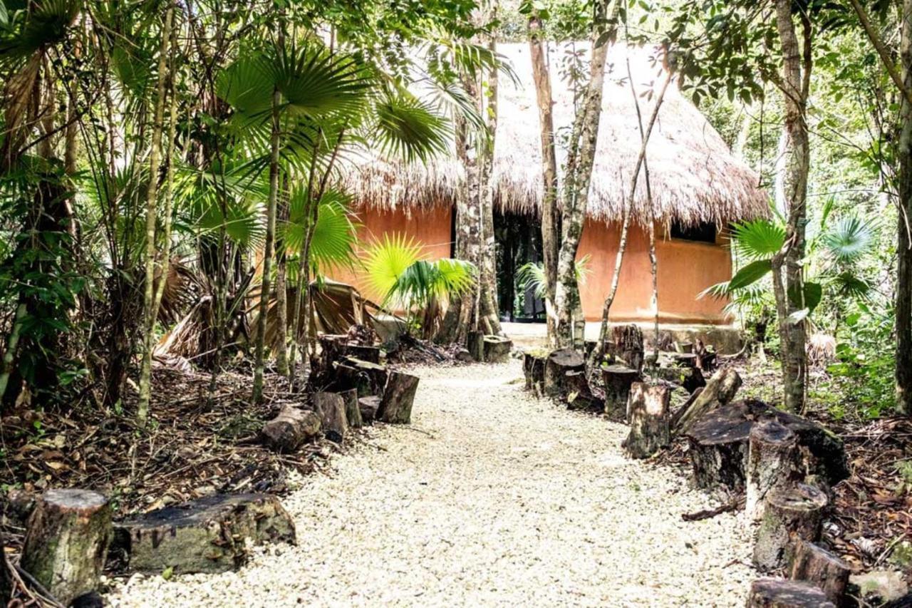 Jolie Jungle Eco Hotel (Adults Only) Leona Vicario Exterior foto