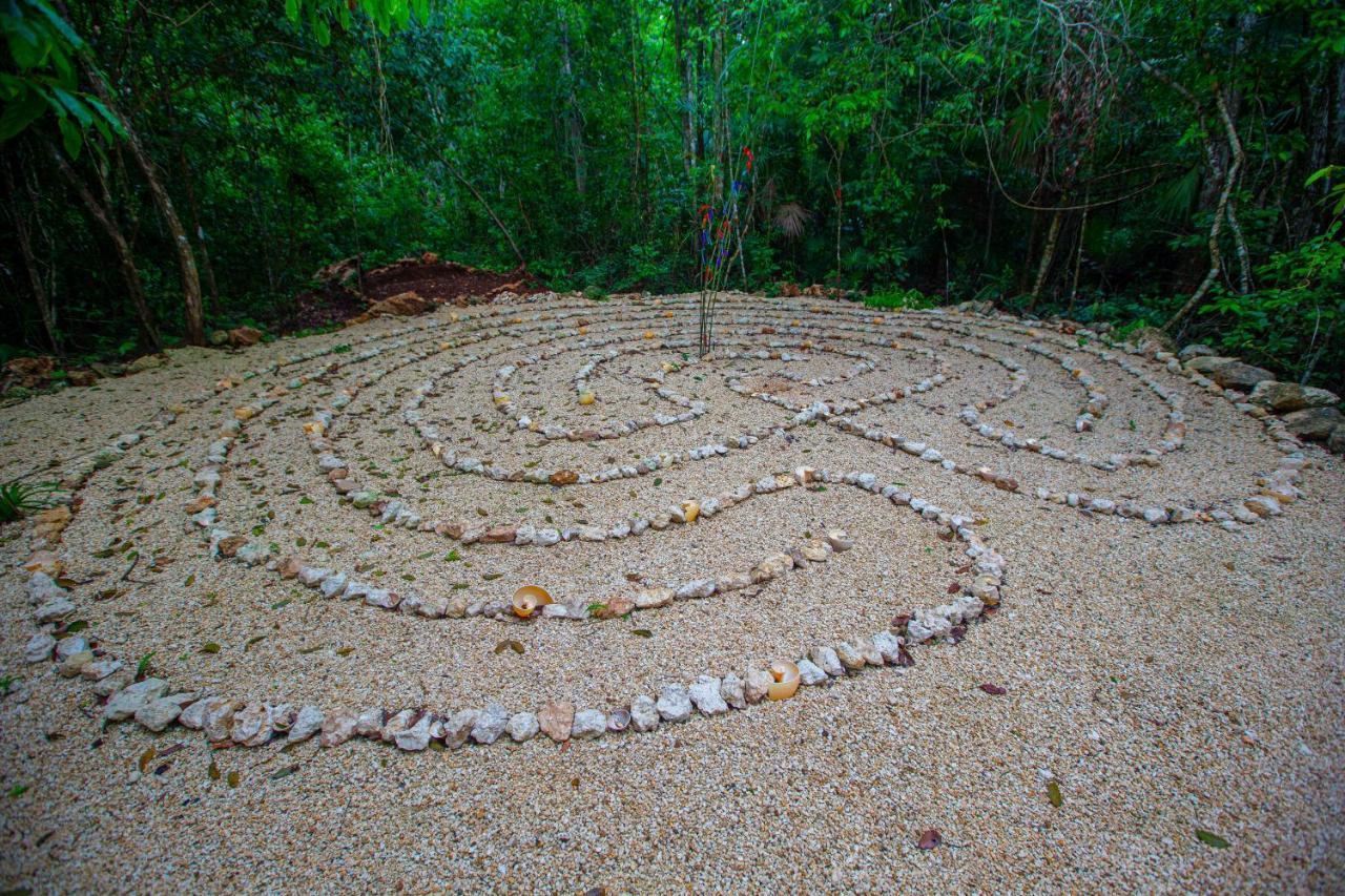 Jolie Jungle Eco Hotel (Adults Only) Leona Vicario Exterior foto