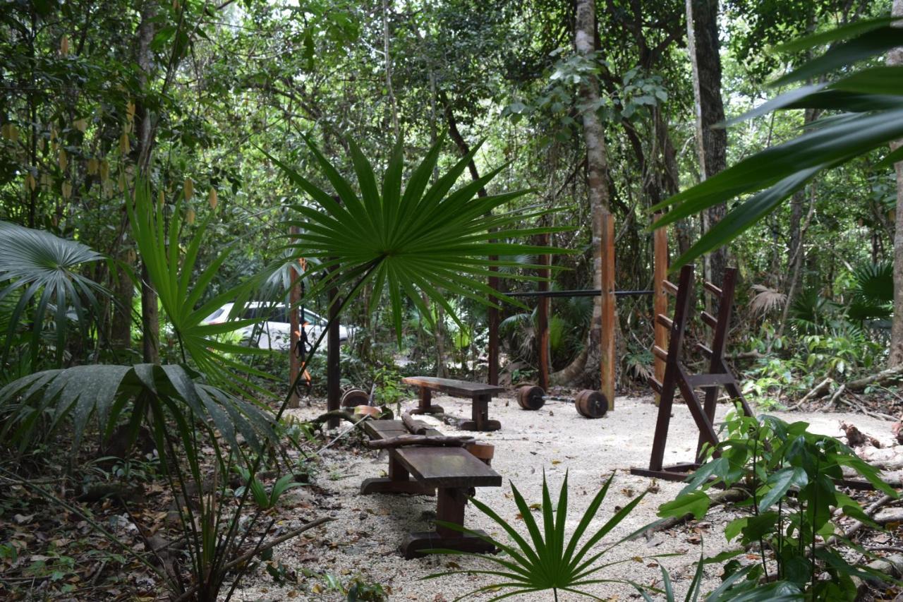 Jolie Jungle Eco Hotel (Adults Only) Leona Vicario Exterior foto