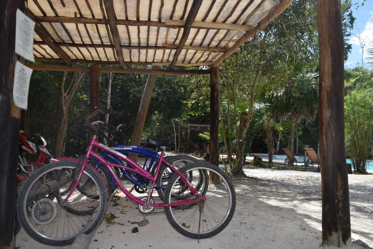Jolie Jungle Eco Hotel (Adults Only) Leona Vicario Exterior foto