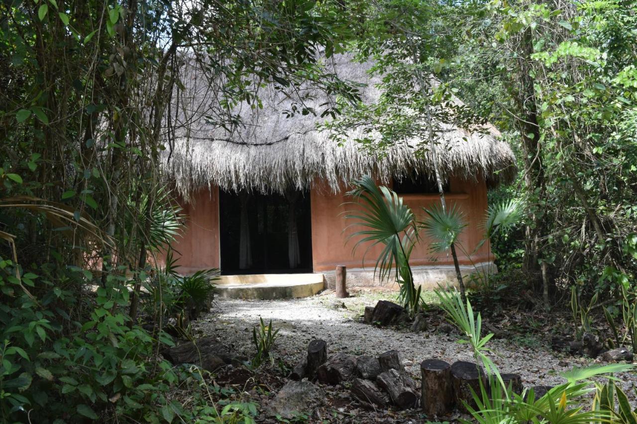 Jolie Jungle Eco Hotel (Adults Only) Leona Vicario Exterior foto