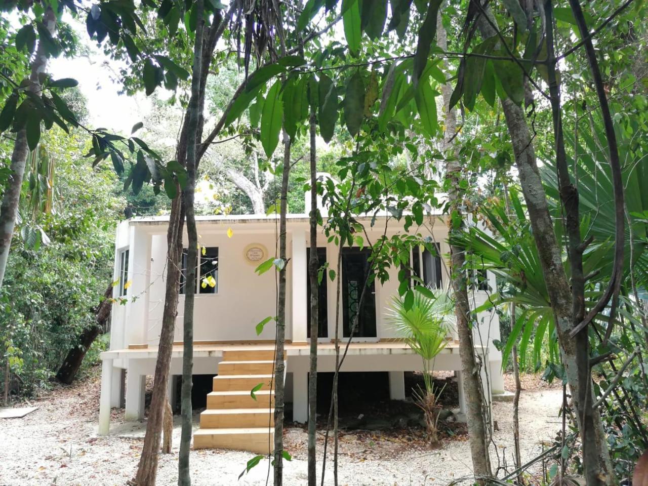 Jolie Jungle Eco Hotel (Adults Only) Leona Vicario Exterior foto