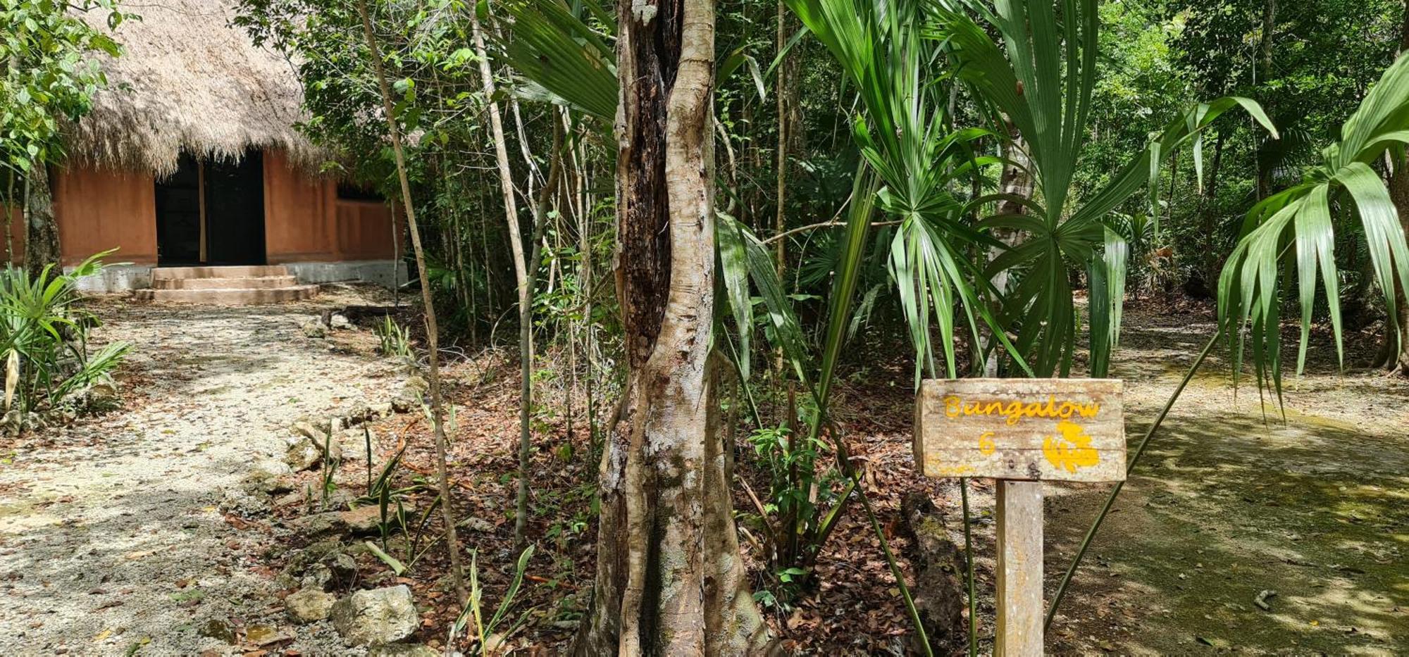Jolie Jungle Eco Hotel (Adults Only) Leona Vicario Exterior foto