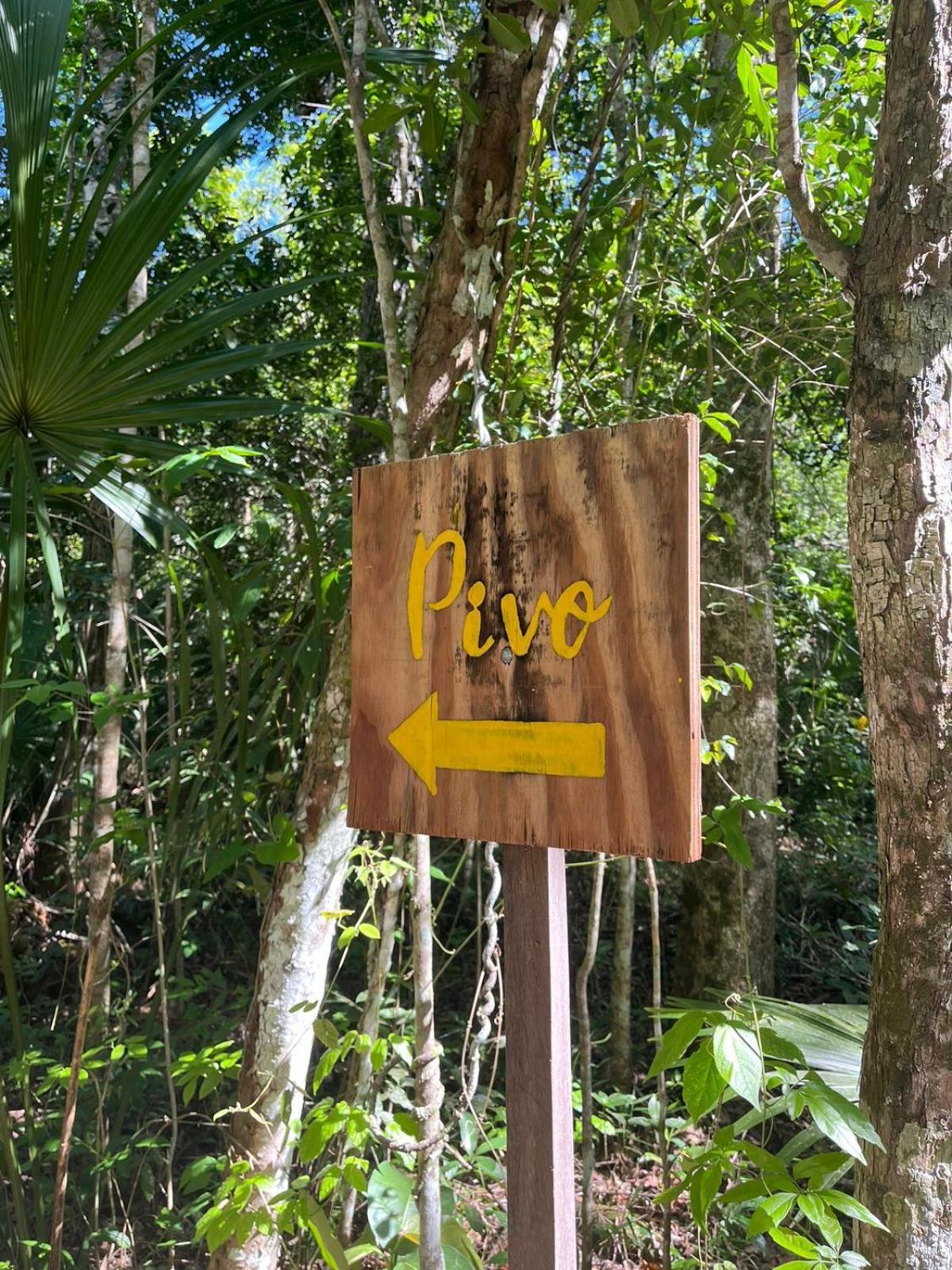 Jolie Jungle Eco Hotel (Adults Only) Leona Vicario Cameră foto