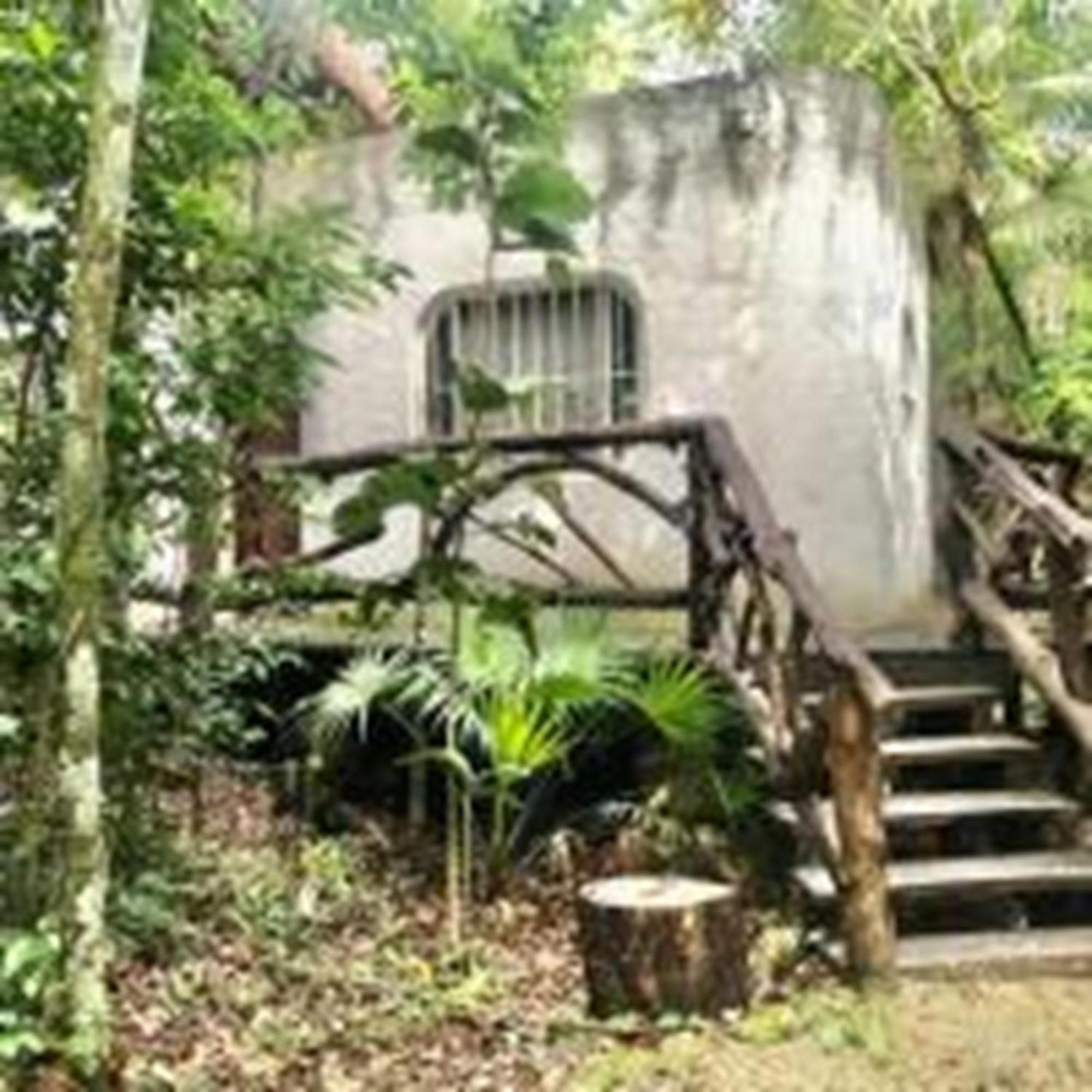 Jolie Jungle Eco Hotel (Adults Only) Leona Vicario Exterior foto