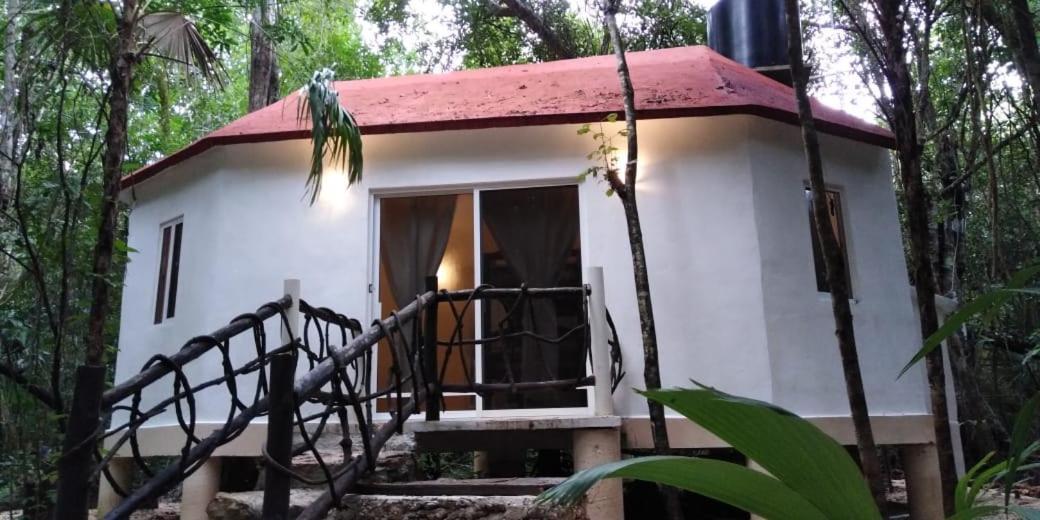 Jolie Jungle Eco Hotel (Adults Only) Leona Vicario Exterior foto